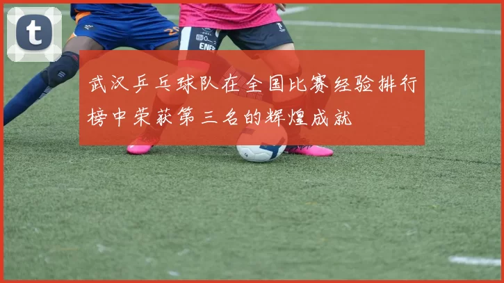 武汉乒乓球队在全国比赛经验排行榜中荣获第三名的辉煌成就