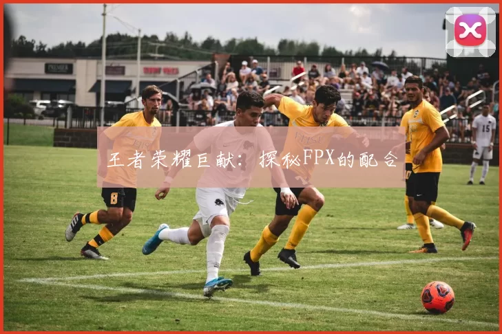 王者荣耀巨献：探秘FPX的配合