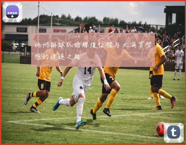 杭州排球队的辉煌征程与大满贯梦想的追逐之路