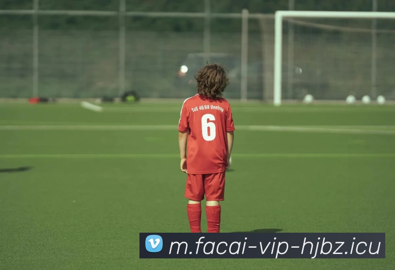 九游体育注册平台生态图