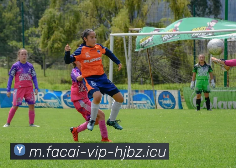 九游体育注册APP 封面图